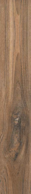 Керамогранит JENIUS BROWN (1416) 20x120 от Fakhar (Иран) в Москве