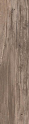 Керамогранит DOLPHIN OAK RETT. 40 под заказ 40x170 от ABK Ceramiche (Италия) в Москве