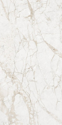 Керамогранит MARMO Impero Grey Carving (NTT99519M) 60x120 от NT Ceramic (Китай) в Москве