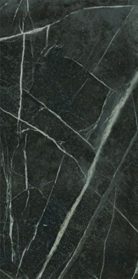 Керамогранит EPOQUE 21 VERIA GREEN ANT R (PF60009345) 60x120 от Ariana (Италия) в Москве