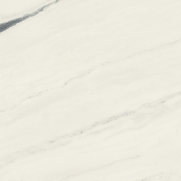 Керамогранит FORTE DEI MARMI Panda White Rett (600010002406) 120x120 от Atlas Concorde (Россия) в Москве