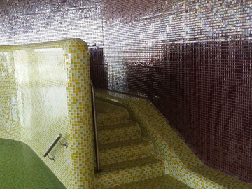 Мозаика POOL-SPA WELLNESS (Togama) в Москве