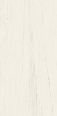 Керамогранит Marvel Stone Bianco Dolomite Lappato (A7GE) 75x150 от Atlas Concorde (Италия) в Москве