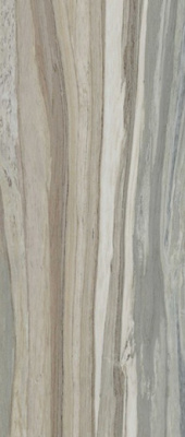 Керамогранит PALISANDRO GRAY NAT. (6mm) (матовая) 120x280 от TAU Ceramica (Испания) в Москве