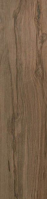 Керамогранит Etic Rovere Noce Hickory (AV4O) 22.5x90 от Atlas Concorde (Италия) в Москве