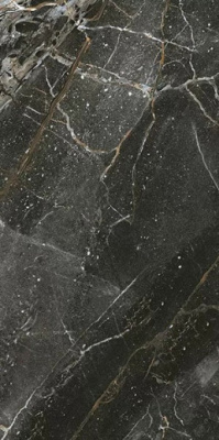 Керамогранит 708320 ARMANI MARBLE DARK GREY Polish Rect. 60x120 от Amin Tile Co. (Иран) в Москве