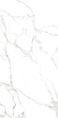 Керамогранит CANOVA STATUARIO LAP RET (J88514) 60x120 от Rondine Group RHS (Италия) в Москве