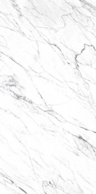 Керамогранит LM STATUARIO ST (FPK01MQ011) 100x200 от Roca (Испания) в Москве