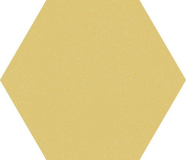 Керамогранит F922 Paprica Senape Esa 25x21.6 от Marca Corona (Италия) в Москве