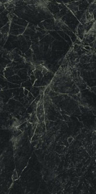 Керамогранит Alpi Green Pol. Rect 59x119 от APE Ceramica (Испания) в Москве