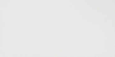 Настенная плитка SOLID WHITE MATT (8DSO) 40x80 от Atlas Concorde (Италия) в Москве