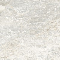 Керамогранит Sirius Silver полированный (6060SIR25P) 60x60 от LCM (Индия) в Москве