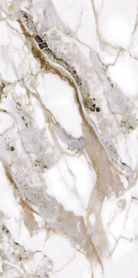 Керамогранит GOLD INK WHITE_G126016G (СП1186) 60x120 от Zibo Fusure (Китай) в Москве