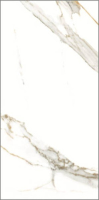 Керамогранит CARRARA WHITE Glossy (8 лиц) 60x120x9 от Varmora (Индия) в Москве