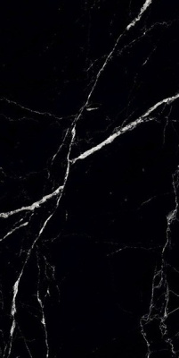 Керамогранит ITACID MORGAN BLACK 60x120 от Maimoon Ceramica (Индия) в Москве