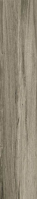 Керамогранит CEYLAN GRIS PULIDO 22x118 от Fanal (Испания) в Москве