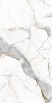 Керамогранит Vienna Calcutta 60x120x4.8 от Ocean Ceramic (Индия) в Москве