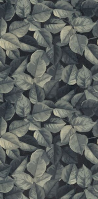 Декор WIDE&STYLE MINI FOLIAGE R (PF60008438) 60x120 от ABK Ceramiche (Италия) в Москве