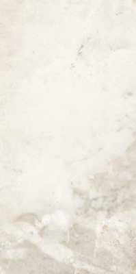 Керамогранит GESSO NT RT (0300253) 60x120 от Ricchetti Ceramiche (Италия) в Москве