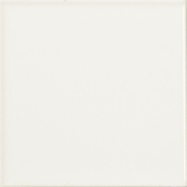 Настенная плитка MONOCOLOR LISO MATE BLANCO 10x10 от Vilar Albaro (Испания) в Москве