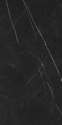 Керамогранит Forte Dei Marmi Elegant Black Honed Satin (610015000659) 60x120 от Atlas Concorde (Россия) в Москве