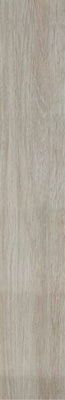 Керамогранит DESERT Wood Crema Matt 20x120 от ITC (Индия) в Москве