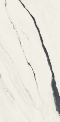 Керамогранит Forte Dei Marmi Panda White Rett (610010002709) 80x160 от Atlas Concorde (Россия) в Москве