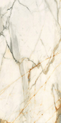 Керамогранит Calacatta Borghini полированный (60120CBO55P) 60x120 от LCM (Индия) в Москве