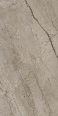 Керамогранит Forte Dei Marmi Mystic Grey Honed Satin (610015000658) 60x120 от Atlas Concorde (Россия) в Москве