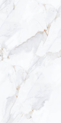 Керамогранит Luсia White Endless Glossy 60x120 от Maimoon Ceramica (Индия) в Москве