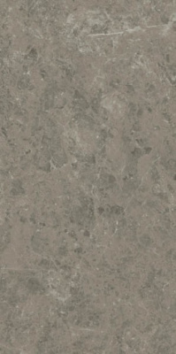 Керамогранит Marvel Meraviglia Grigio Elegante Lapp. (AJIA) 120x240 от Atlas Concorde (Италия) в Москве