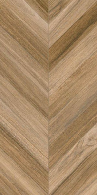 Керамогранит Agadir-R Noca 60x120 от Vives Ceramica (Испания) в Москве