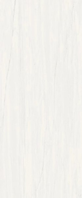 Настенная плитка Marvel Bianco Dolomite (A4S4) 50x120 от Atlas Concorde (Италия) в Москве