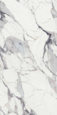 Керамогранит LES ORIGINES DE REX ARGENT MATTE RETT. (769855) 60x120 от REX Ceramiche (Италия) в Москве