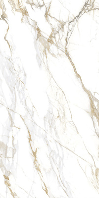 Керамогранит Carrara Royal matt. (60120GP42CRR55) 60x120x8 от Delacora (Россия) в Москве