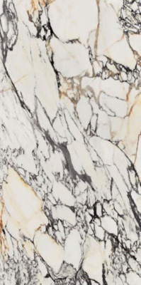 Керамогранит SUPR TREAS CORCHIA GOLD LUX (0009024) 60x120 от Flaviker (Италия) в Москве