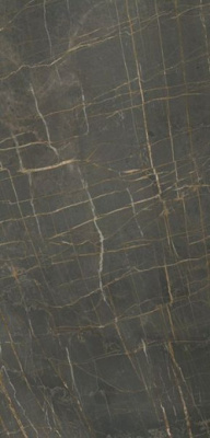 Керамогранит ATLAS GRAY NAT. (6mm) (матовая) 120x260 от TAU Ceramica (Испания) в Москве