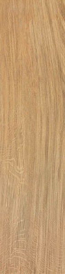 Керамогранит Etic Rovere (AJ8D) 22.5x90 от Atlas Concorde (Италия) в Москве