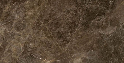 Керамогранит FRAPUCCINO POLLOCK RET LAP 10 мм 635M6R 30x60 от Emil Ceramica (Италия) в Москве