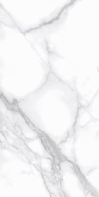 Керамогранит PALACIO Modern Statuario Polished 60x120 от Staro (Индия) в Москве