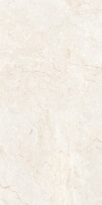 Керамогранит LEOPARD 6406 Stone Ivory Polished 60x120 от Leopard (Индия) в Москве