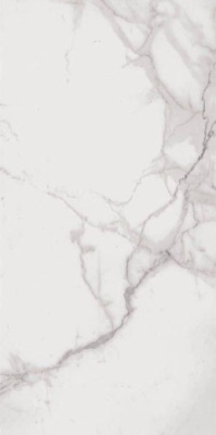 Керамогранит SUPREME ROYAL STATUARIO (SP6110P) Anticato 60x120 от Flaviker (Италия) в Москве