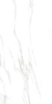 Керамогранит Statuario Silver pol. (60120GP42STA15/L) 60x120x8 от Delacora (Россия) в Москве