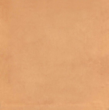 Настенная плитка 5238 Капри оранжевый 20x20 от Kerama Marazzi (Россия) в Москве