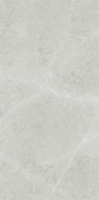Керамогранит ALTAMURA SILVER PUL 60x120 от TAU Ceramica (Испания) в Москве