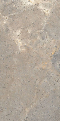 Керамогранит Anthology 03 EARTH Nat. RT (LGXAL35) 60x120 от LEA Ceramiche (Италия) в Москве