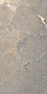 Керамогранит Anthology 03 EARTH Worn RT (LGXAL30) 60x120 от LEA Ceramiche (Италия) в Москве