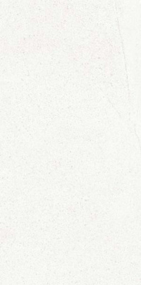 Керамогранит Tardivo N Bianco-MG (Art##0007286) 90x180 от Nanogress (Китай) в Москве