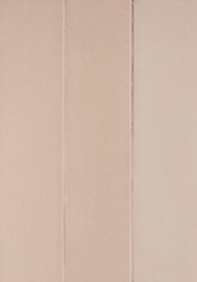 Настенная плитка CANDY PINK (128390) 5x20 от DNA Tiles (Испания) в Москве