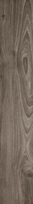 Керамогранит Oxford Natural (1208) 20x120 от Tilekraft (Индия) в Москве